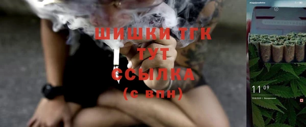 мет Надым