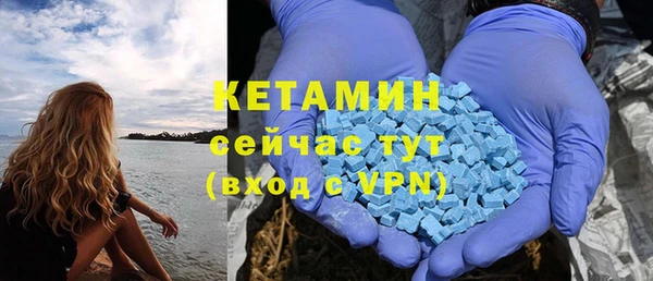 стафф Аркадак